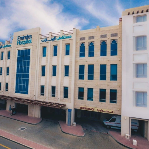 bee group inc emirates hospital project