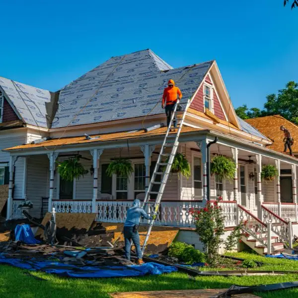 bee group inc general contractor