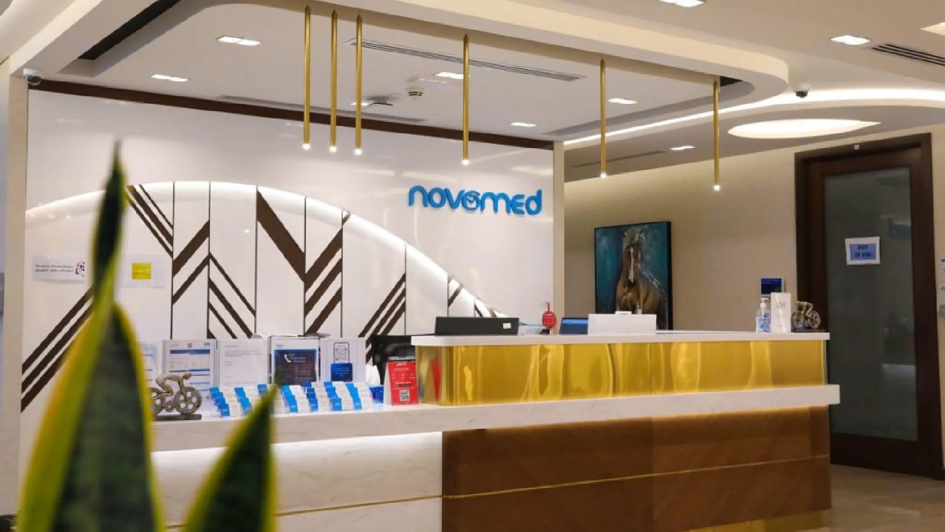 bee group inc novomed reception